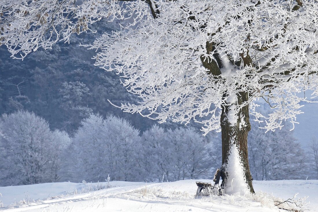 Luminen maisema voi inspiroida unelmointiin.
